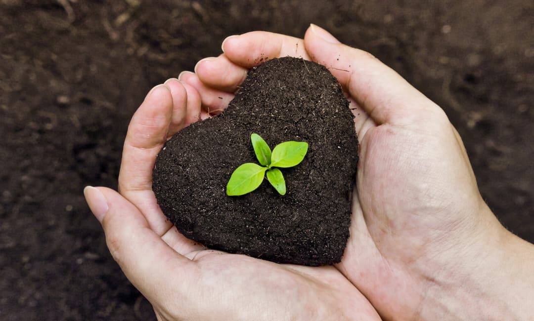 How to Grow During this Crisis