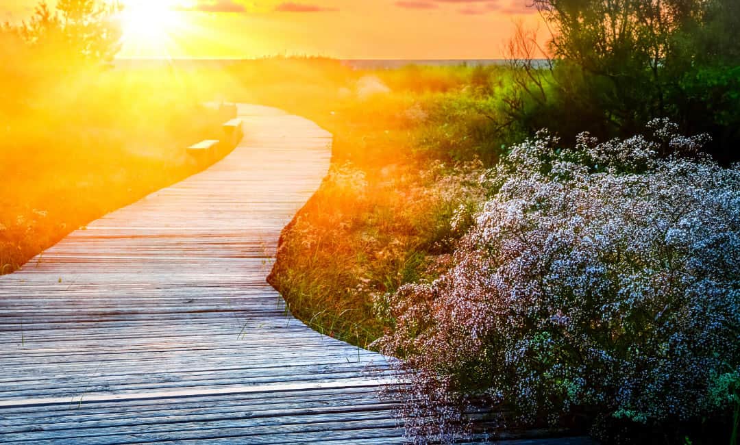 Envisioning a Sustainable Future For Our World